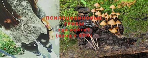 молекула духа Армянск